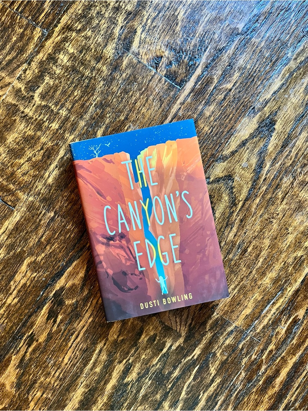 The Canyon's Edge by Dusti Bowling, Middle Grade Young Adult Mental Health